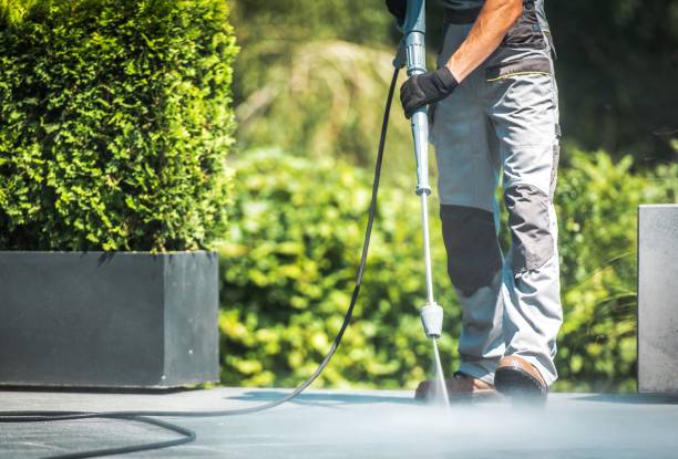 Best Sidewalk and Walkway Cleaning  in Leadington, MO
